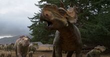 Pachyrhinosaurus.jpg