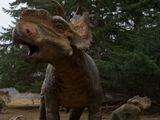 Pachyrhinosaurus