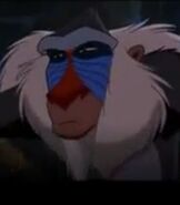 Rafiki in The Lion King 2 Simba's Pride