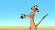 Timon (The Lion King)