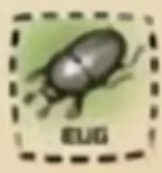 IMG bf bug
