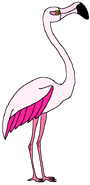 Janis as a Greater Flamingo