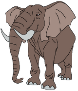 Milly as an East African Bush Elephant