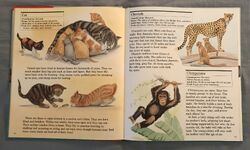 List of Species in My First Book of Animals from A to Z | The Parody Wiki |  Fandom