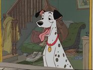 Pongo as Stuart