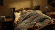 The Farmer was slept in bed to wake up