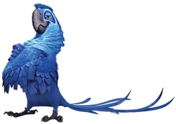 Rio Characters Alphabet | The Parody Wiki | Fandom