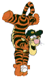 Tigcatch