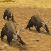 Aardvark Game zooempire2