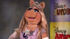 HT miss piggy ml 150318 16x9 992