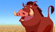 Pumbaa as The Walrus