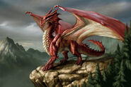 Red European Dragon