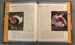 List of Species in Scholastic Encyclopedia of Animals | The Parody Wiki | Fandom List of Species in Scholastic Encyclopedia of Animals | The Parody Wiki | Fandom