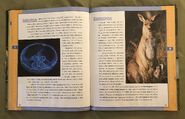 Scholastic Encyclopedia Of Animals (27)