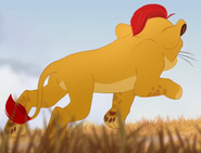 Kion running in the grass again 3