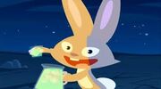 Rabbit.jpg