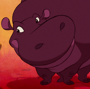TLK Hippo