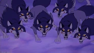 Wolves as Janja
