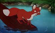 Adult Tod in The Fox & The Hound (1981)