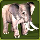 African Elephant (Zoo Tycoon 2)