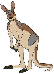Aussie the Kangaroo.png