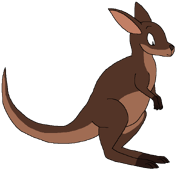 Bendett the Red-Necked Wallaby