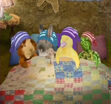 Linny, Tuck, Ming-Ming and Ollie sleeping