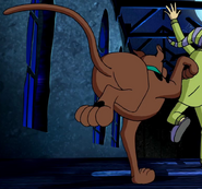Scooby doo run for the bats 3