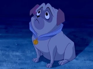 pocahontas pug