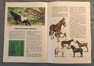 A Golden Exploring Earth Book of Animals (17)