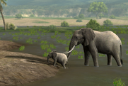 Afrika elephant i by linconnu24-d38wwr1