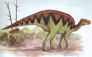 Dinosaur-images-084-resize.jpg