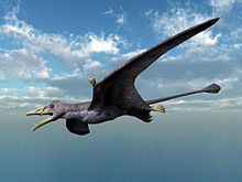 Eudimorphodon NT small.jpg