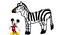 Hartmann's Mountain Zebra(Equus zebra hartmannae)