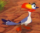 Zazu (1994) as Jacquimo