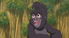 Terk (Tarzan)