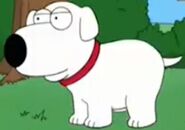 Young Brian Griffin as Young Sonic the Hedgehog