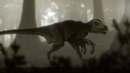 Deinonychus