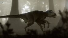 Deinonychus.jpg
