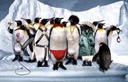 Farceofthepenguins