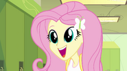 Fluttershy wide eyes EG