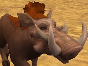 Metridiochoerus-zootycoon2018