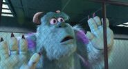 Sulley worried