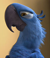 Blu as Zazu