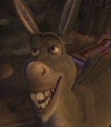 Donkey Smile