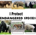 I Protect Endangered Species Meme.png (628 KB)