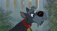 Jock as Dr. Laboritory