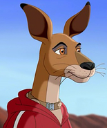 Kangaroo jack tf by justinanddennnis-d9n5dpj