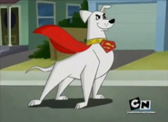 Krypto as Captain Dog