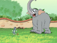 Tom and Jerry Tales Elephant
